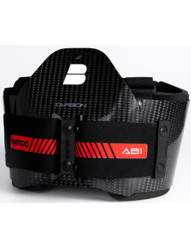 Bengio AB1
