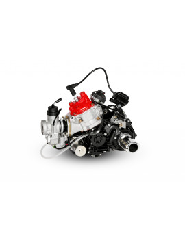 Rotax 125 DD2 MAX Evo
