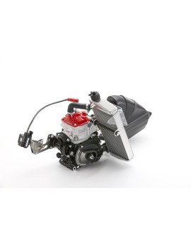 Rotax 125 Junior MAX evo