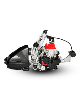 Rotax 125 Micro MAX Evo MY20