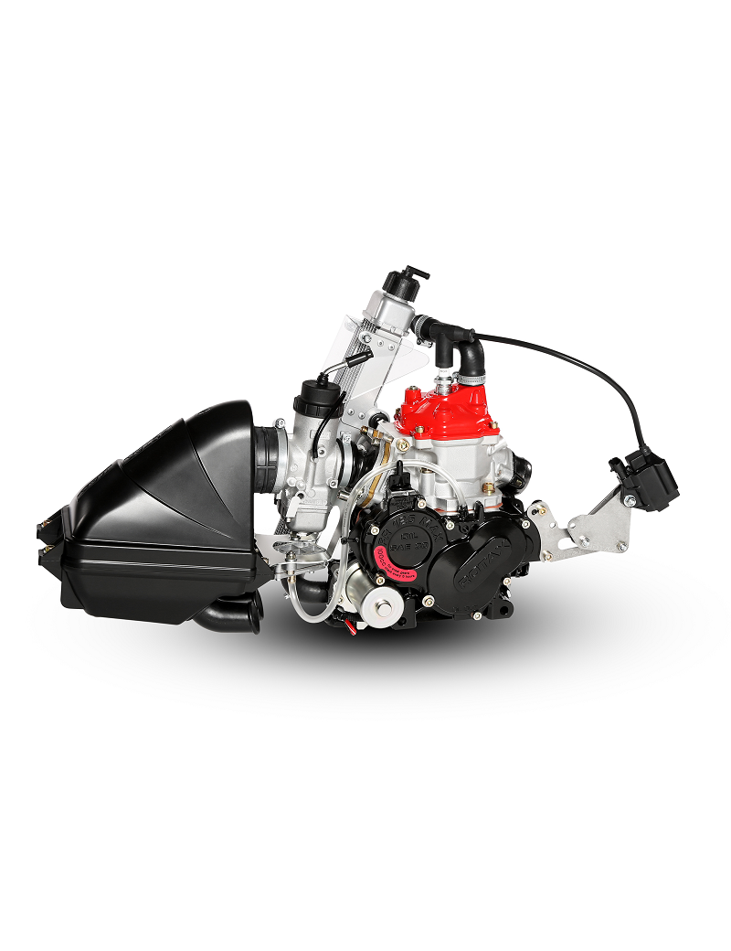 Rotax 125 Micro MAX Evo MY20 Rotax 125 Micro MAX Evo MY20