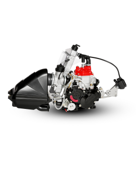 Rotax 125 Mini MAX Evo MY20