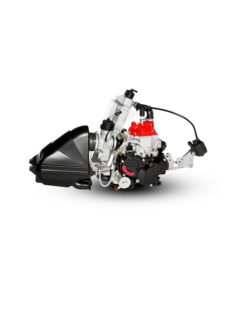 Rotax 125 Mini MAX Evo MY20