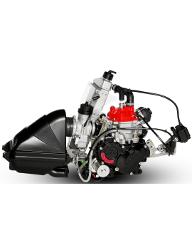 Rotax 125 Senior MAX Evo